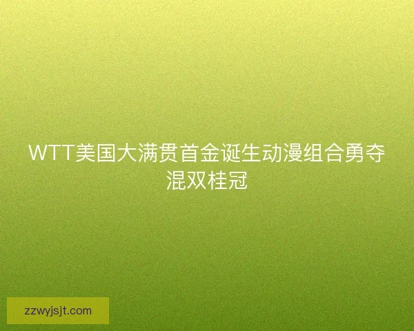 WTT美国大满贯首金诞生动漫组合勇夺混双桂冠