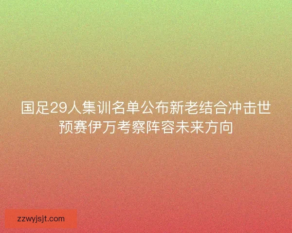 国足29人集训名单公布新老结合冲击世预赛伊万考察阵容未来方向