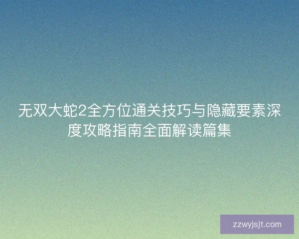 无双大蛇2全方位通关技巧与隐藏要素深度攻略指南全面解读篇集